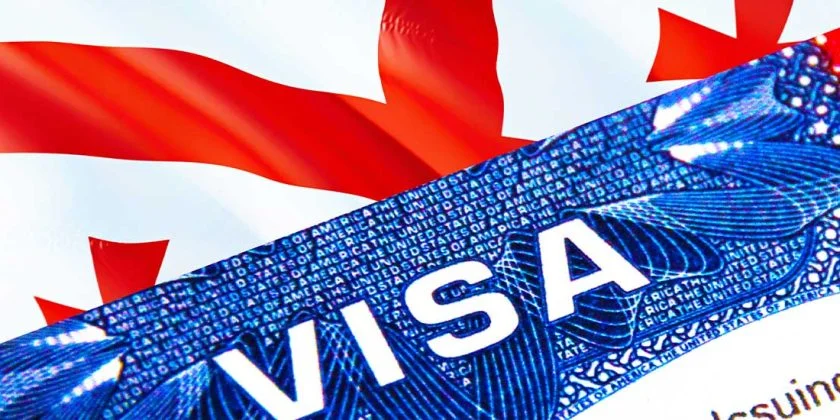 Types of Georgian Visas
