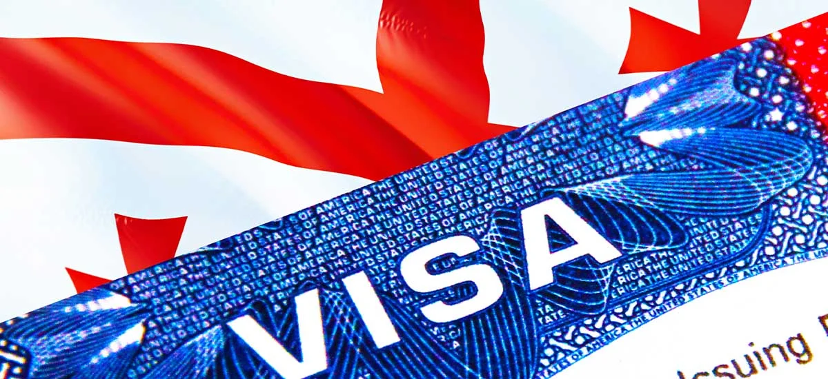 Types of Georgian Visas
